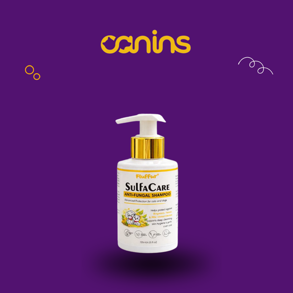 SulfaCare Anti Fungal Shampoo