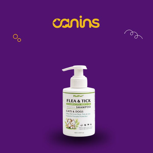 Flea & Tick Shampoo