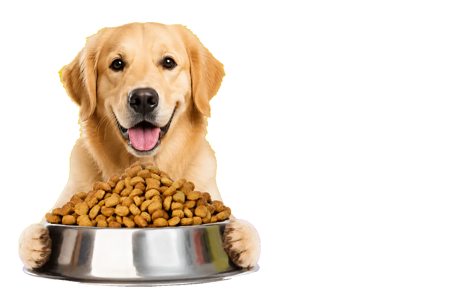 Nutritious <br>  Dog Food