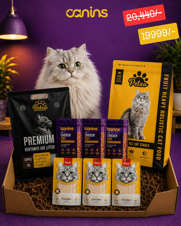 Bundle 3
