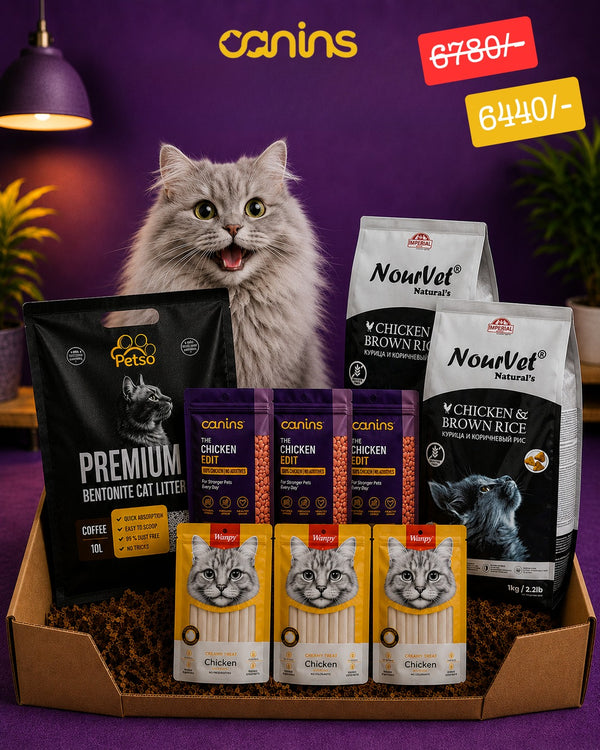 Bundle 6